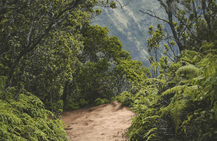 5 TOP TRAILS IN PORTUGAL